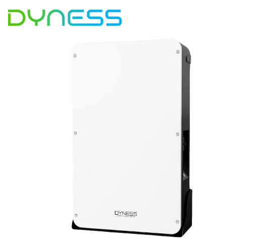 Dyness solar battery