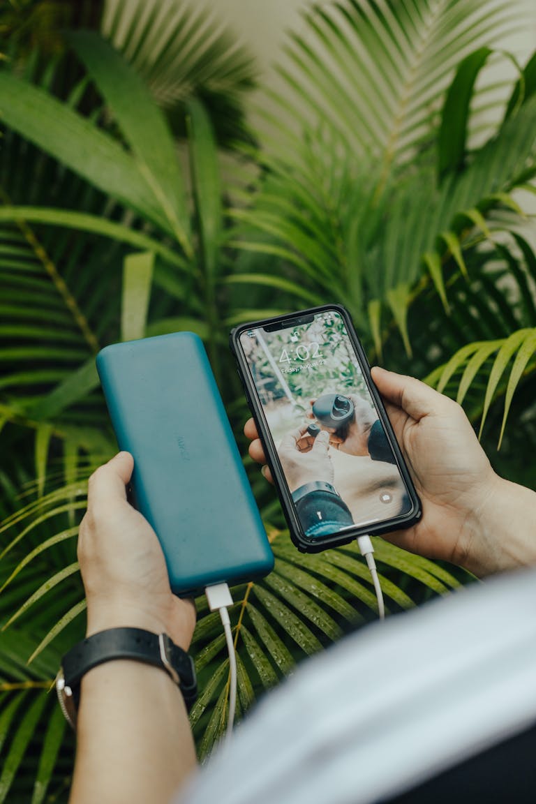 From above of crop unrecognizable person transferring information from cellphone to portable hard drive using USB connector near fern leaves