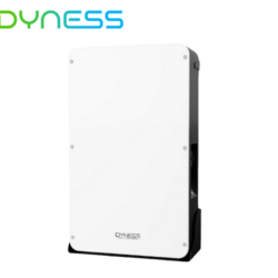 Dyness solar battery