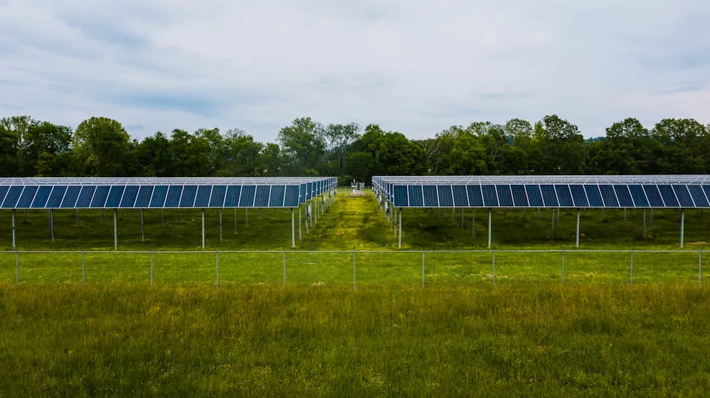 Photo by Kelly Eging Solar Panels