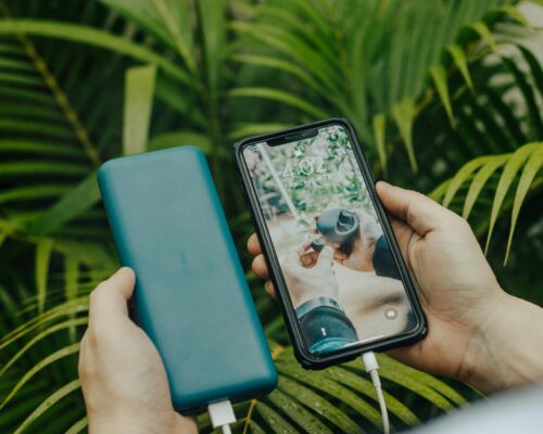From above of crop unrecognizable person transferring information from cellphone to portable hard drive using USB connector near fern leaves